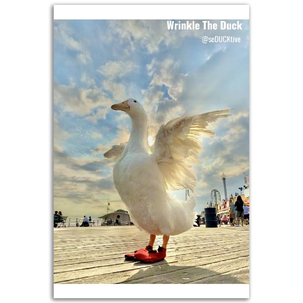 Weennnggs Semi-Glossy Paper Poster