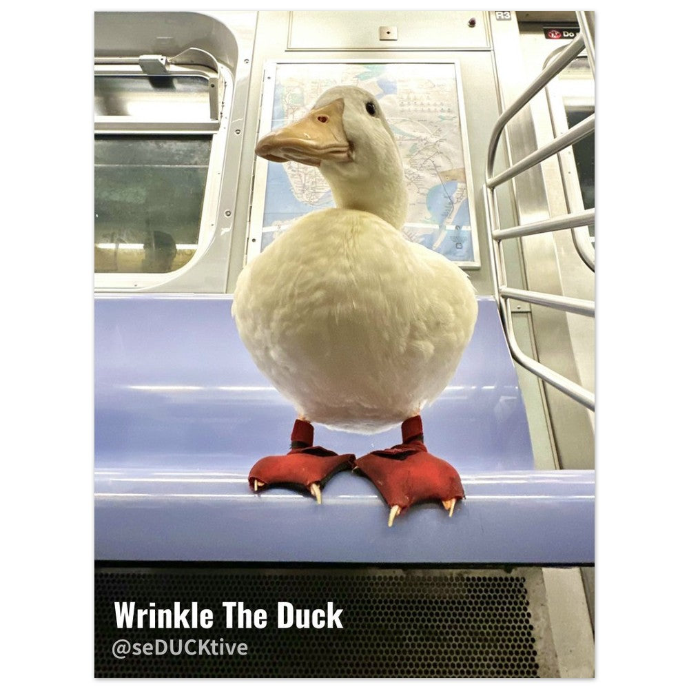 Wrinkle x NYC Subway - Classic Semi-Glossy Paper Poster