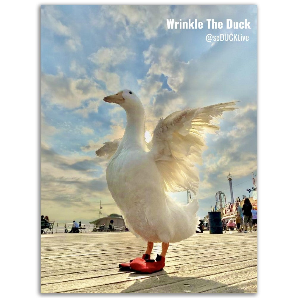 Weennnggs Semi-Glossy Paper Poster