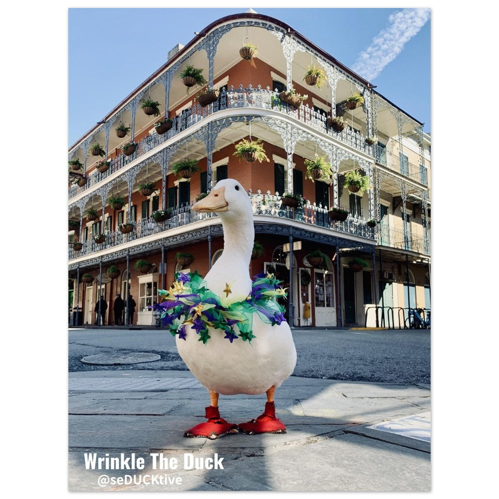 New Orlean - Semi-Glossy Paper Poster
