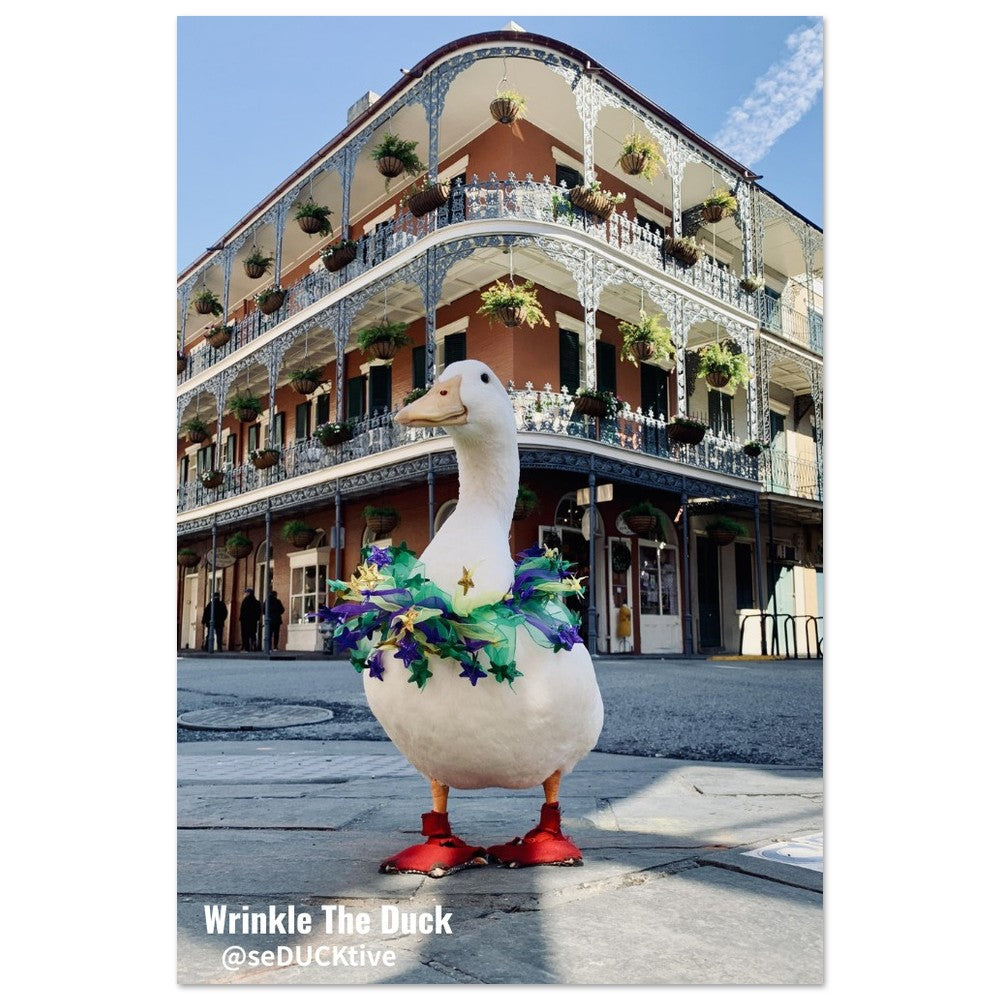 New Orlean - Semi-Glossy Paper Poster