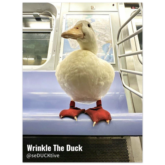 Wrinkle x NYC Subway - Classic Semi-Glossy Paper Poster