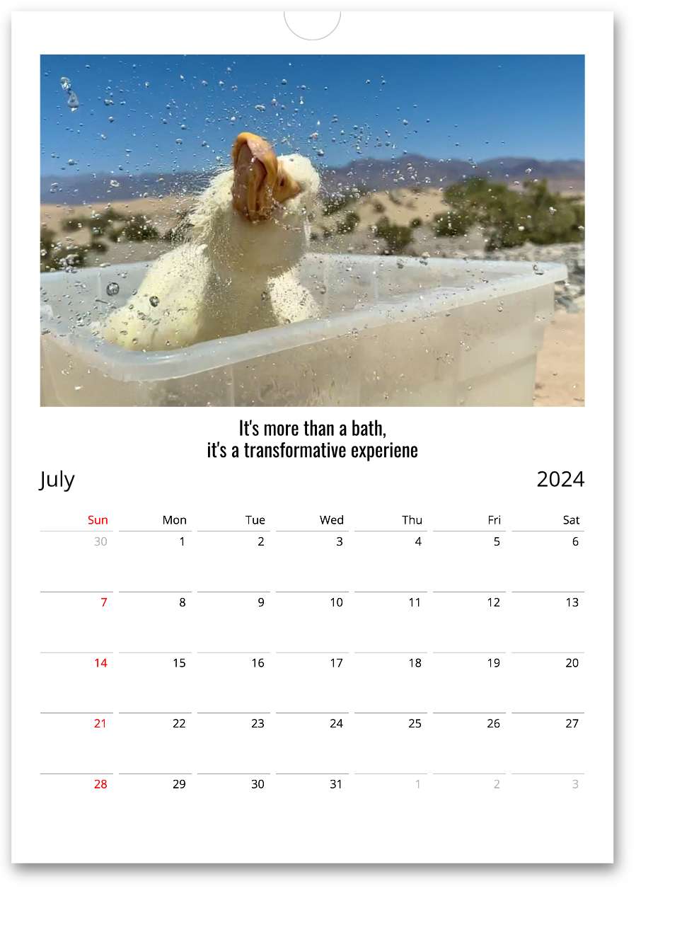 2024 Wrinkle Calendar (International)