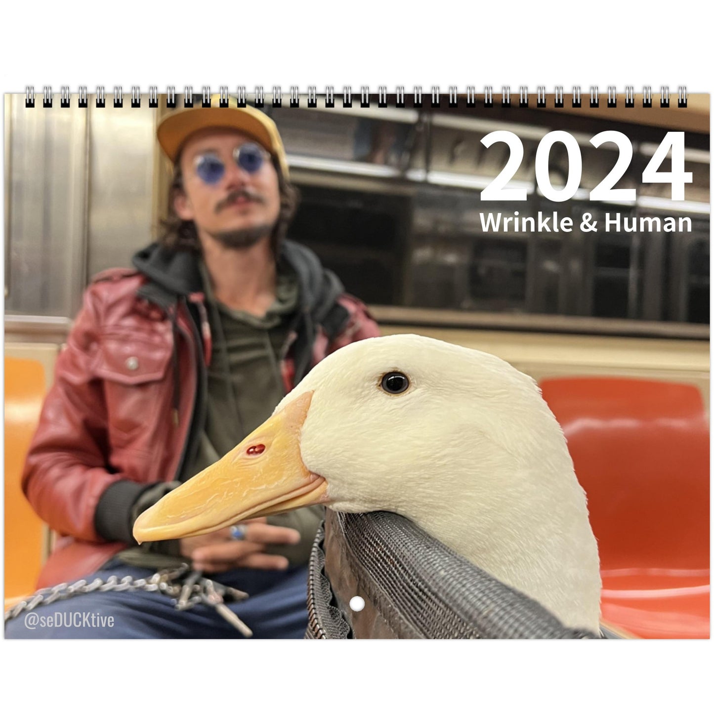 2024 Wrinkle & Human Calendar (US & CA)