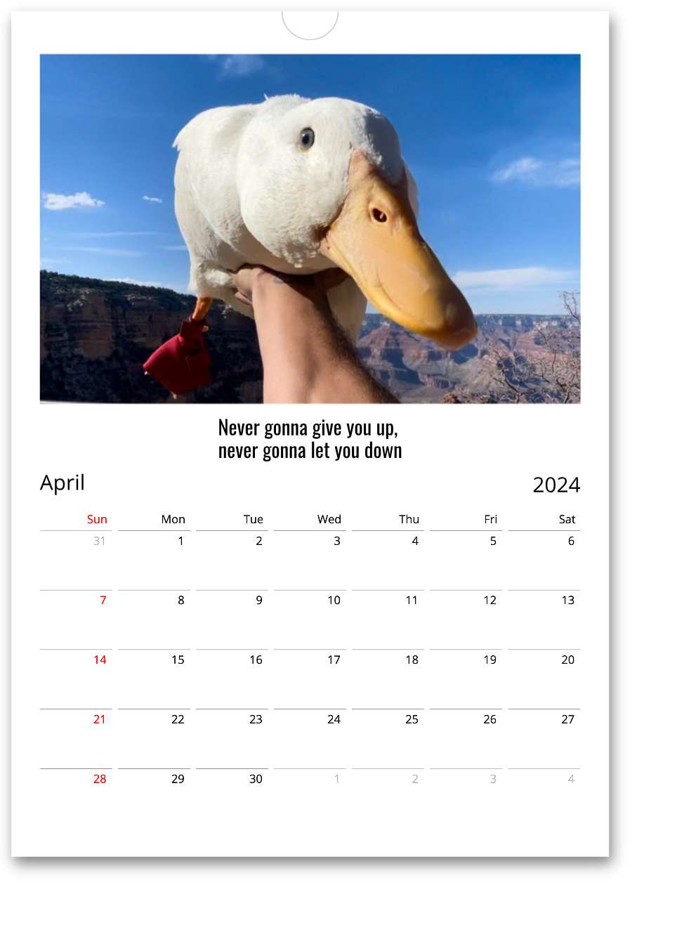 2024 Wrinkle Calendar (International)