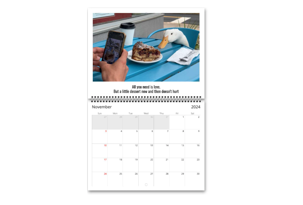 2024 Wrinkle Calendar (US & CA)