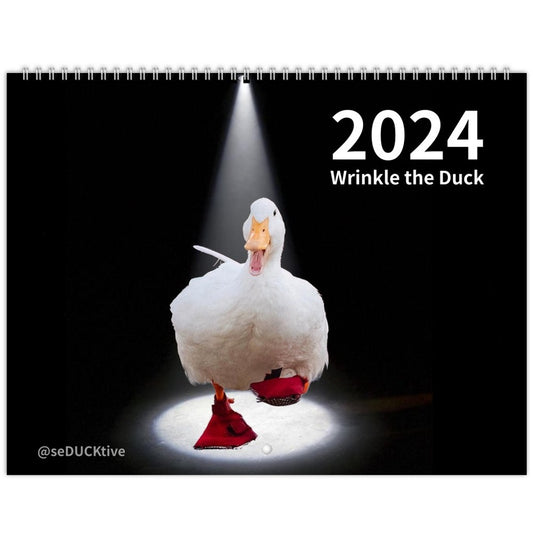 2024 Wrinkle Calendar (US & CA)