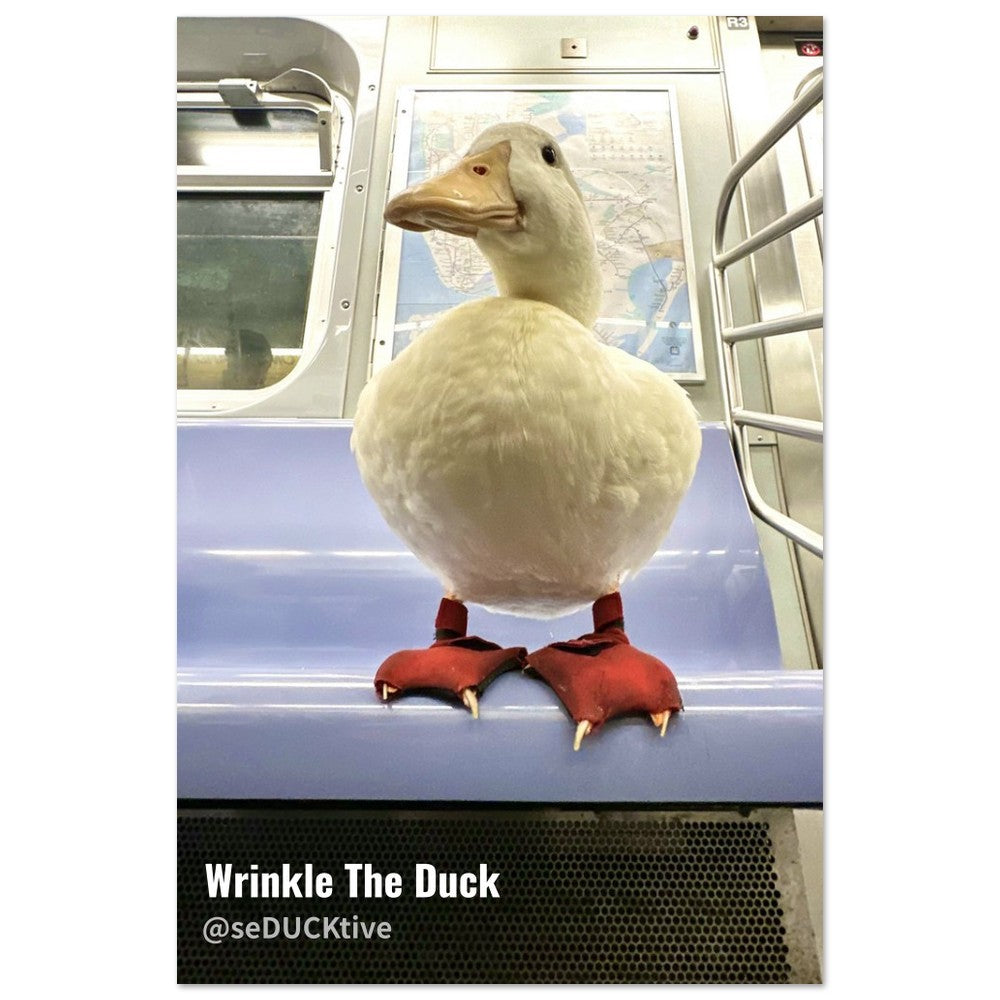 Wrinkle x NYC Subway - Classic Semi-Glossy Paper Poster